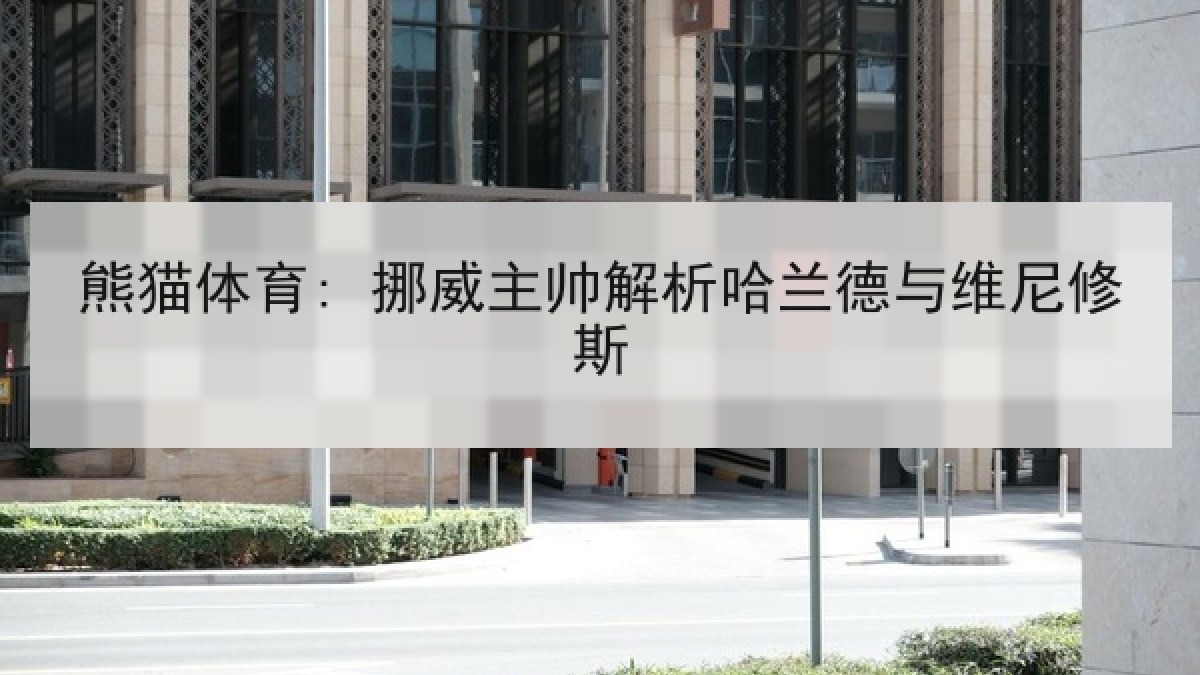 熊猫体育: 挪威主帅解析哈兰德与维尼修斯 熊猫体育: 挪威主帅解析哈兰德与维尼修斯